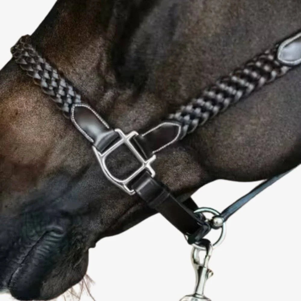 Cavezza Dy'On intrecciata full