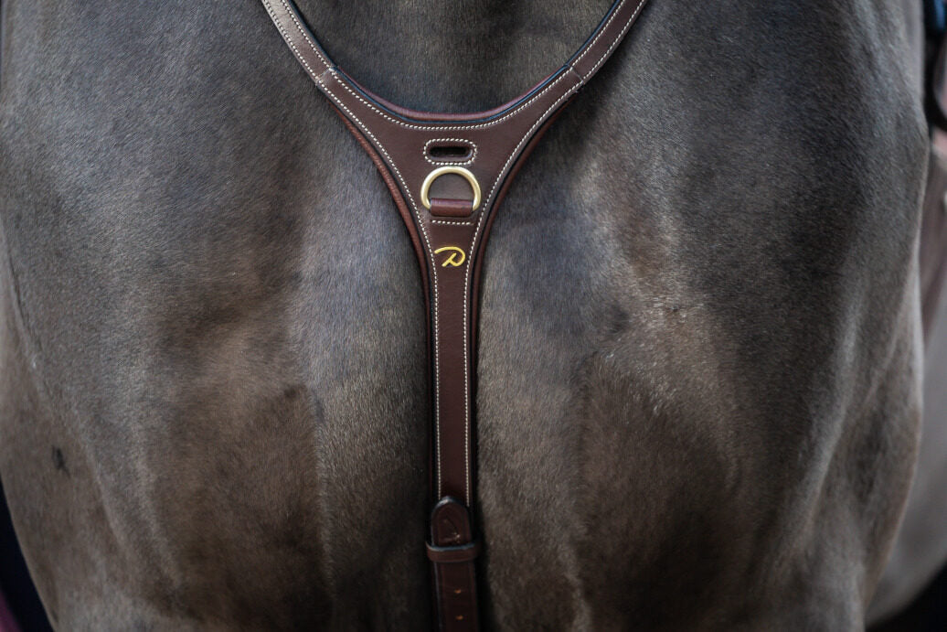 Martingala Dy'On Yoke nera