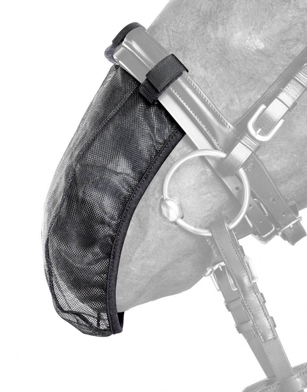 COPRIMUSO IN RETE TATTINI