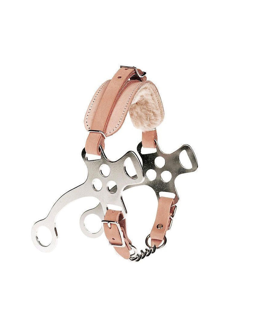 HACKAMORE CON NASALINA IN CUOIO ASTE CORTE UMRIA EQUITAZIONE