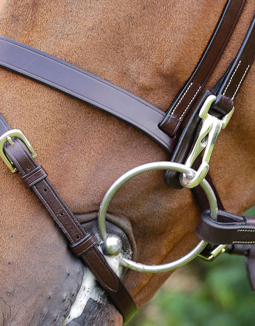 Testiera con moschettoni sui montanti e sul sottogola Dy'On marrone