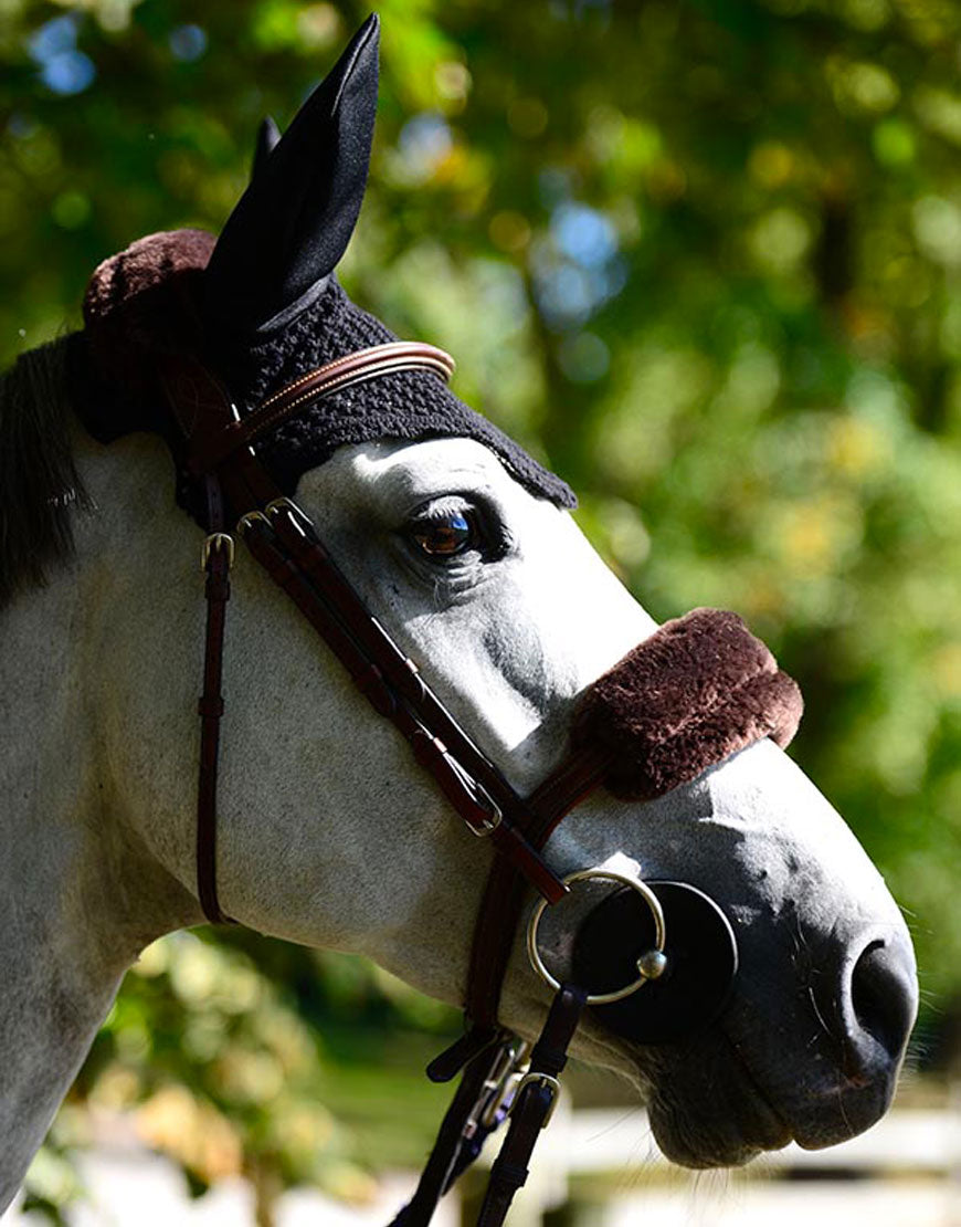 Nasalina Kentucky marrone