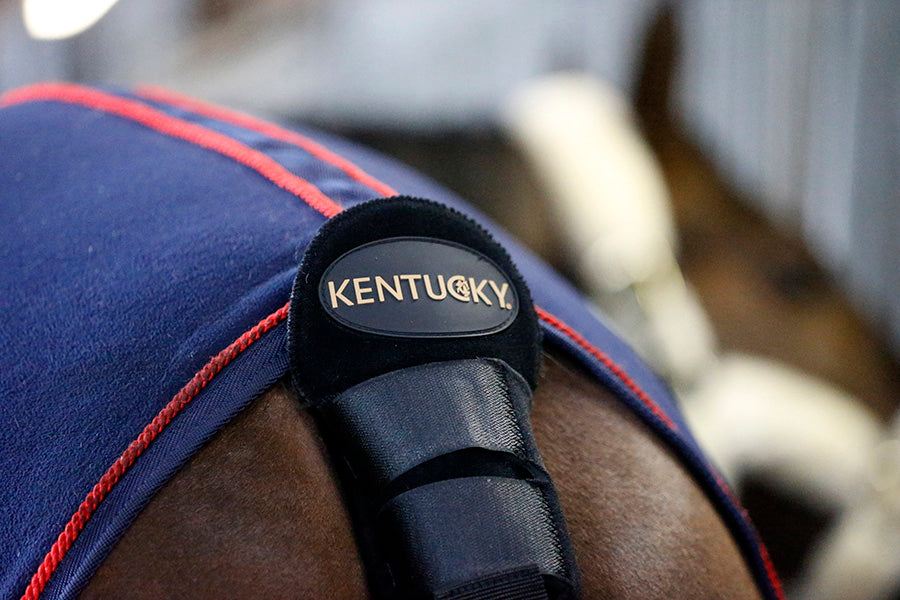 Paracoda da viaggio Kentucky