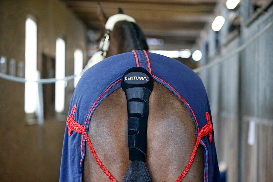 Paracoda da viaggio Kentucky