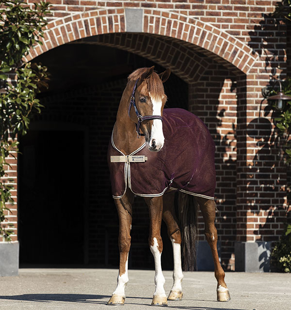 Coperta in rete AMIGO NET COOLER HORSEWARE