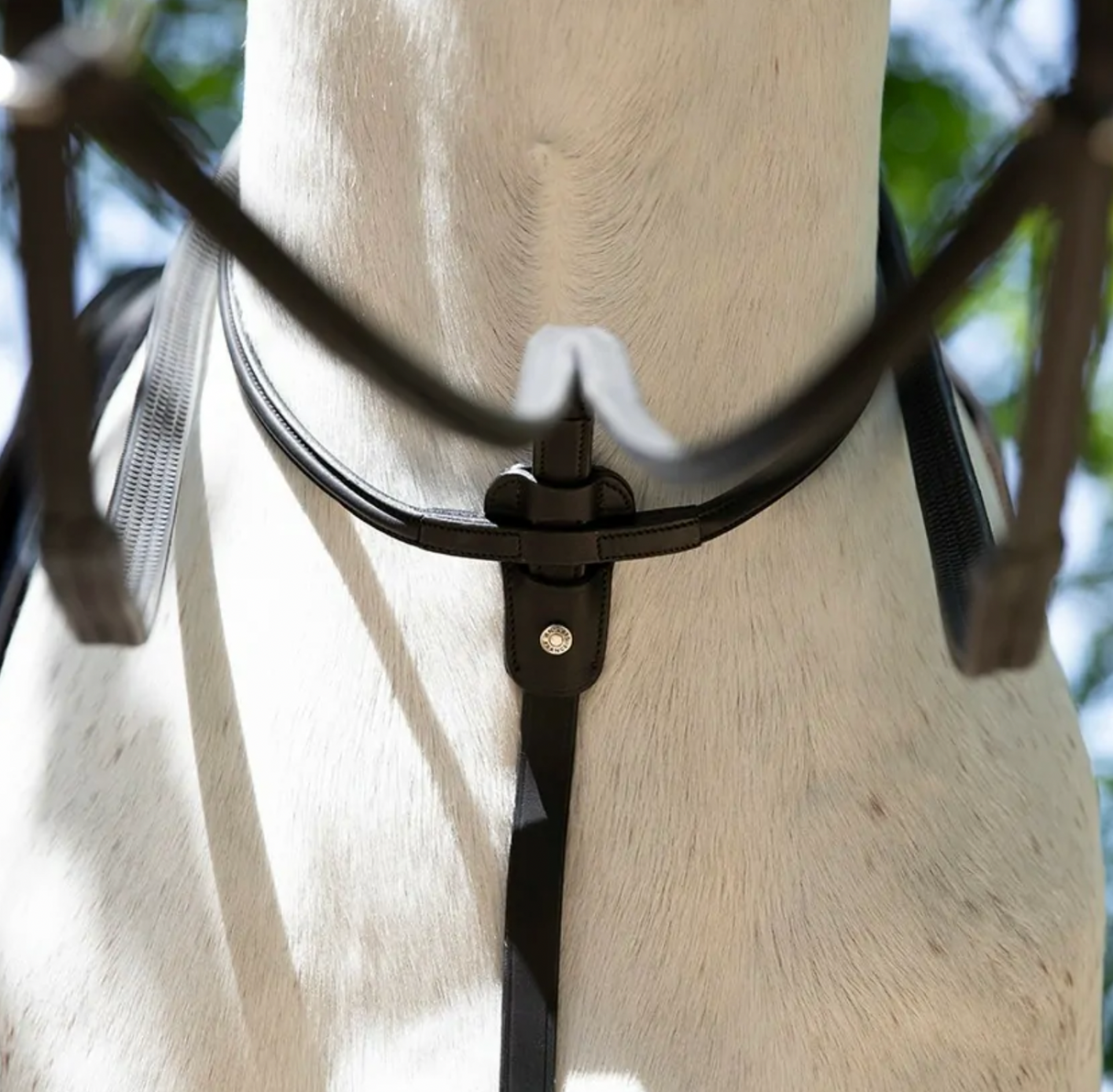 Martingala ad anello Antares marrone