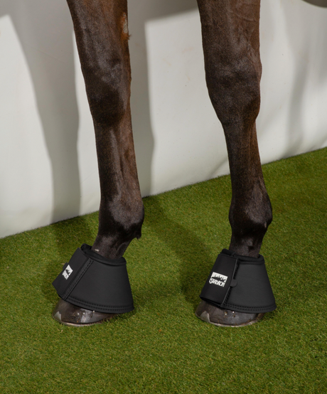 Paraglomi Eskadron a campana in similpelle e neopreme