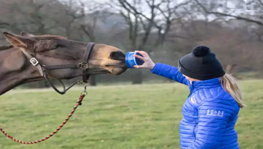 Horslyx Mobility mini 650 g