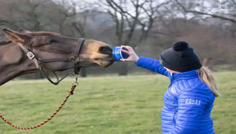 Horslyx Mobility mini 650 g