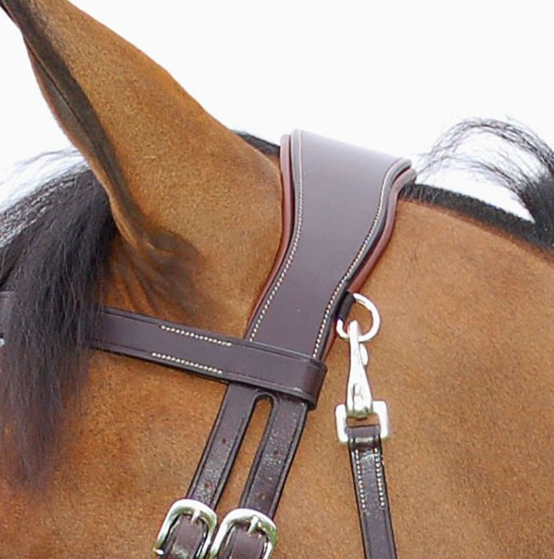 Testiera con moschettoni sui montanti e sul sottogola Dy'On nera