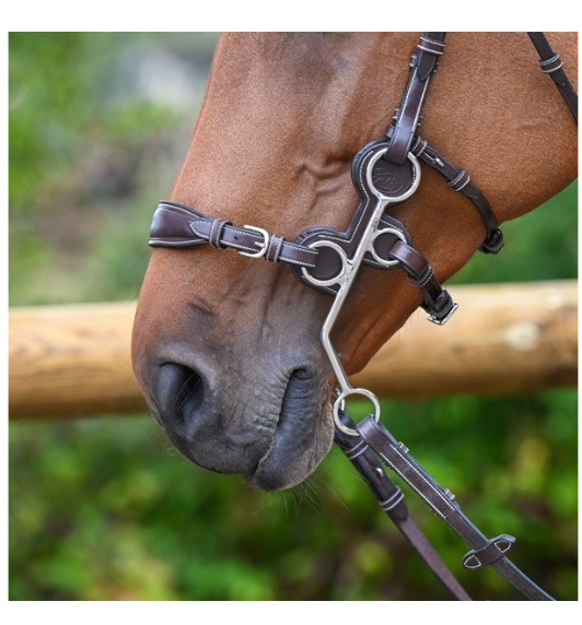 Protezione per Hackamore Jump'in in cuoio