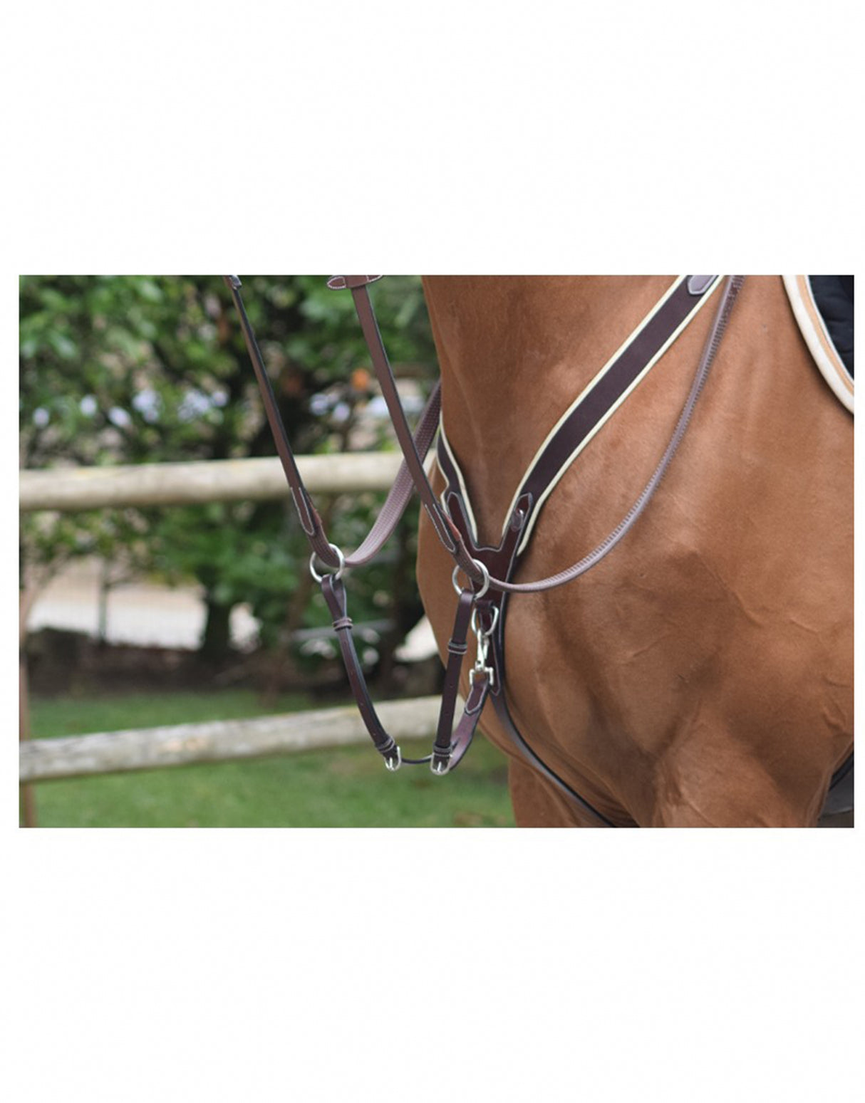 Pettorale elastico e martingala nero Jump'in