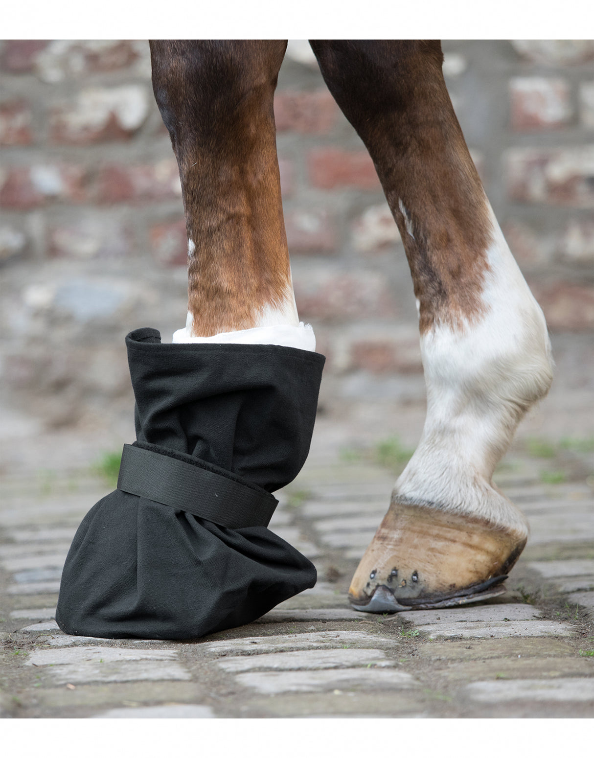 Sacca protettiva per zoccoli
