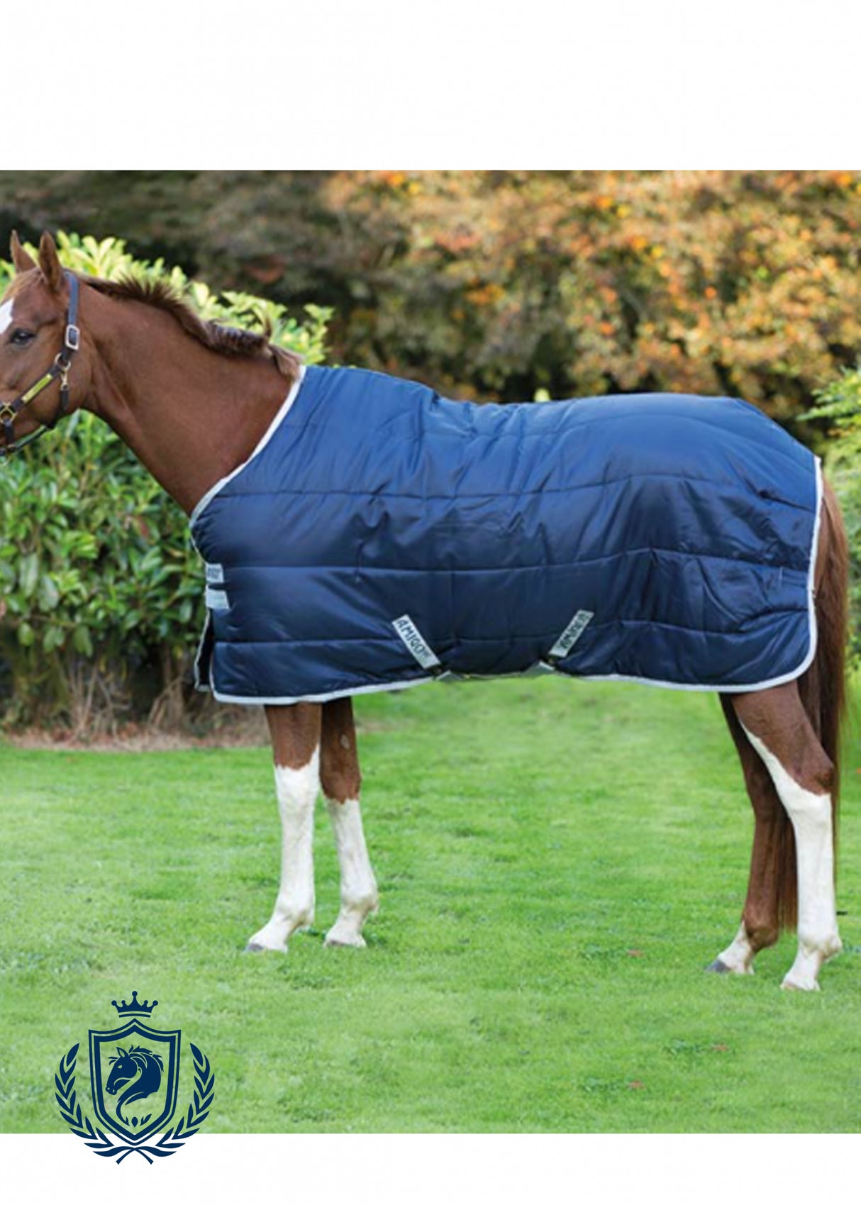 Coperta da box Amigo® Insulator 350g Horseware