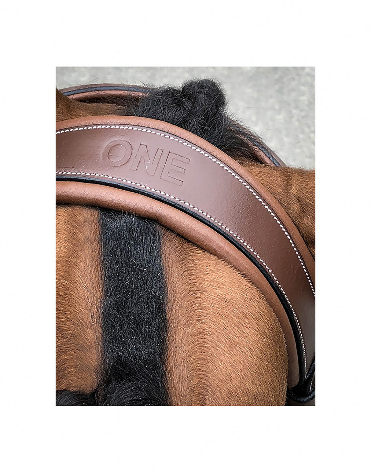 Briglia Jumpin Bruxelles marrone