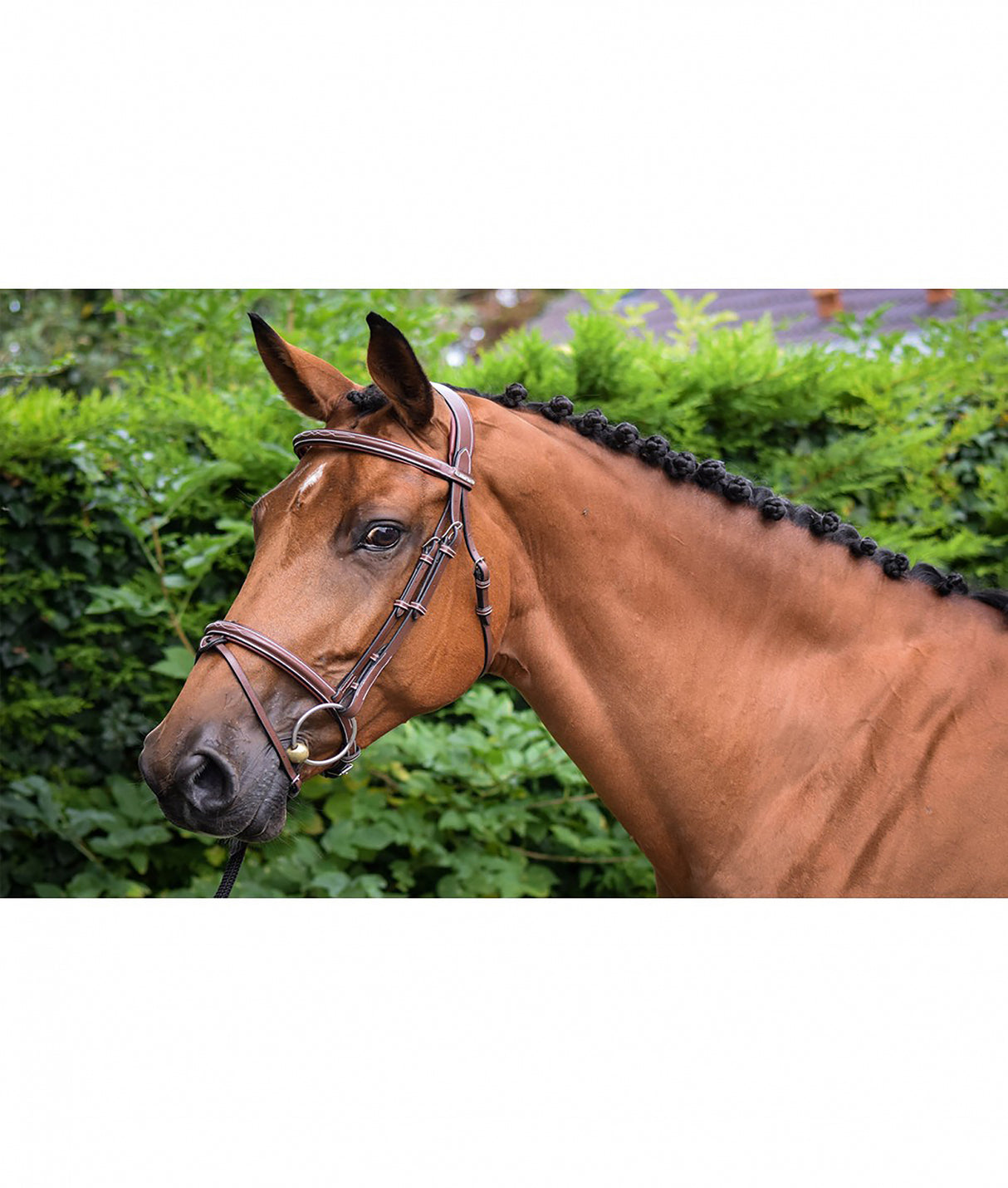 Briglia Jumpin Parigi nera