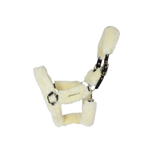 Cavezze