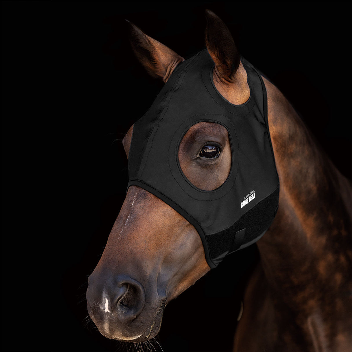 Maschera in titanio senza orecchie Lamicel