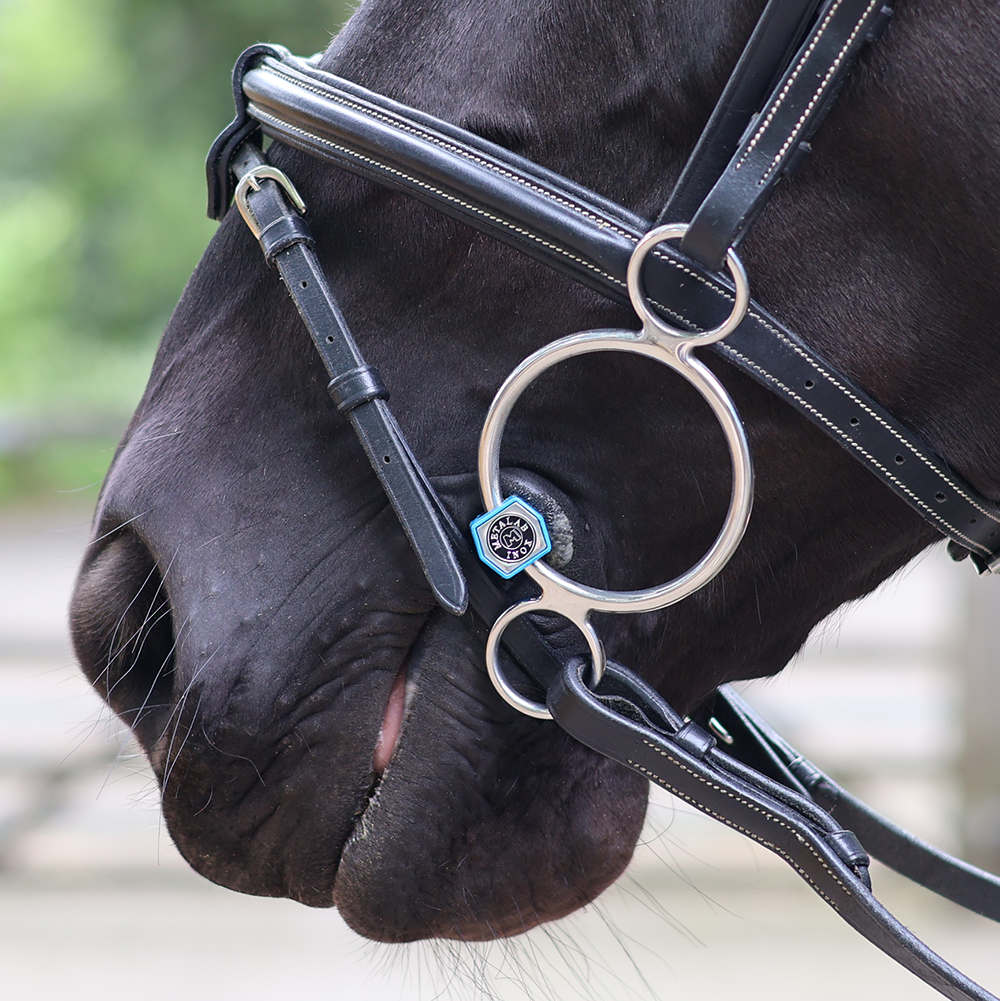 3-ring pessoa flexible Flexi