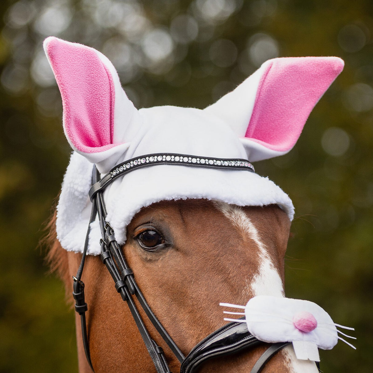 Cuffietta da coniglio pasquale per cavallo QHP