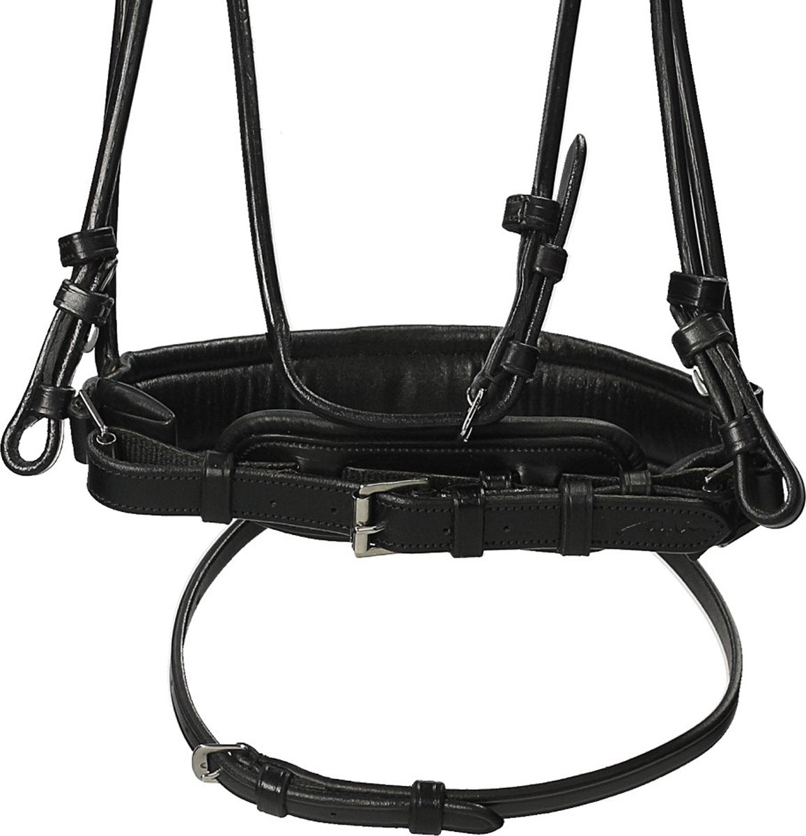 Testiera da dressage con due frontalini interscambiabili nera Dy'On