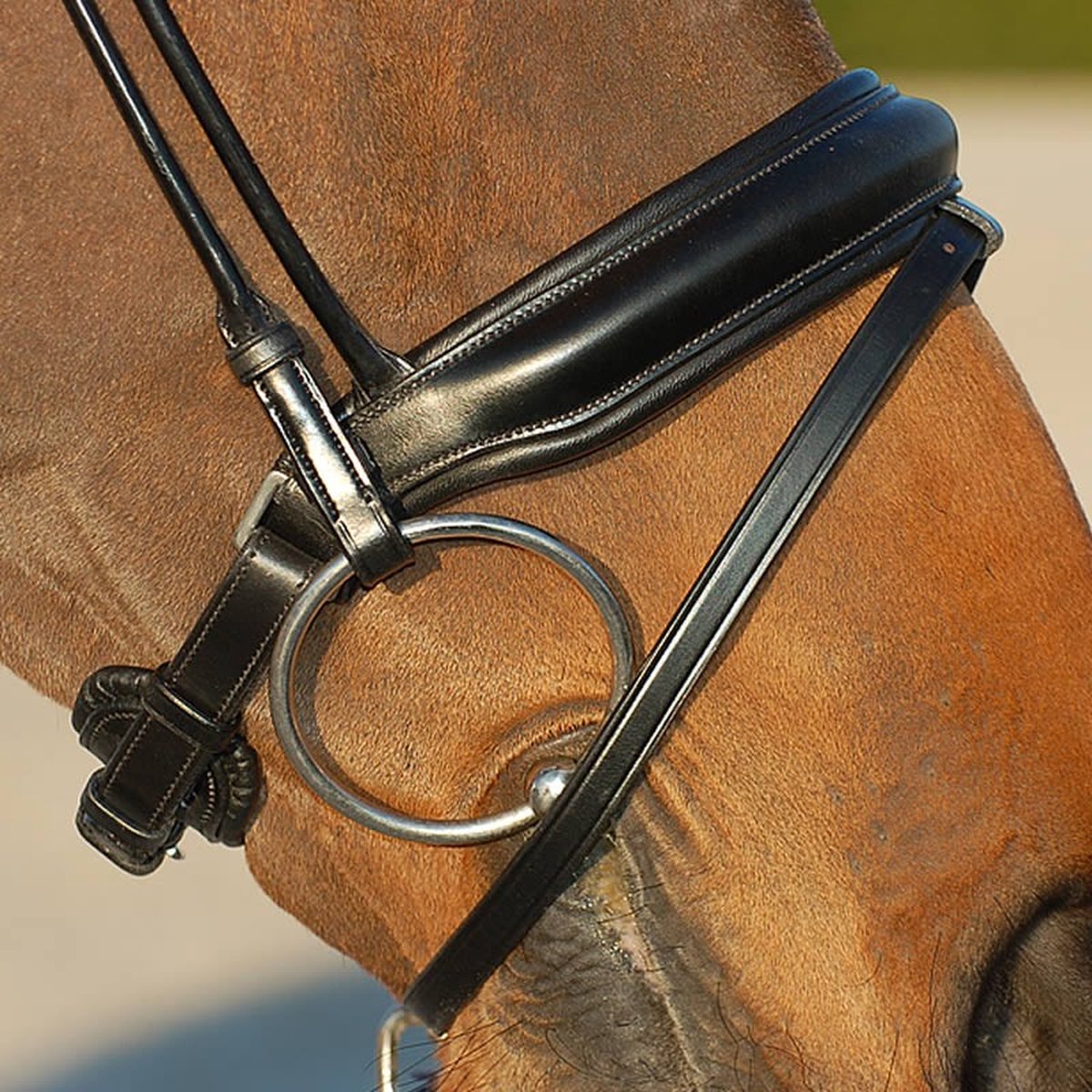 Testiera da dressage con due frontalini interscambiabili nera Dy'On