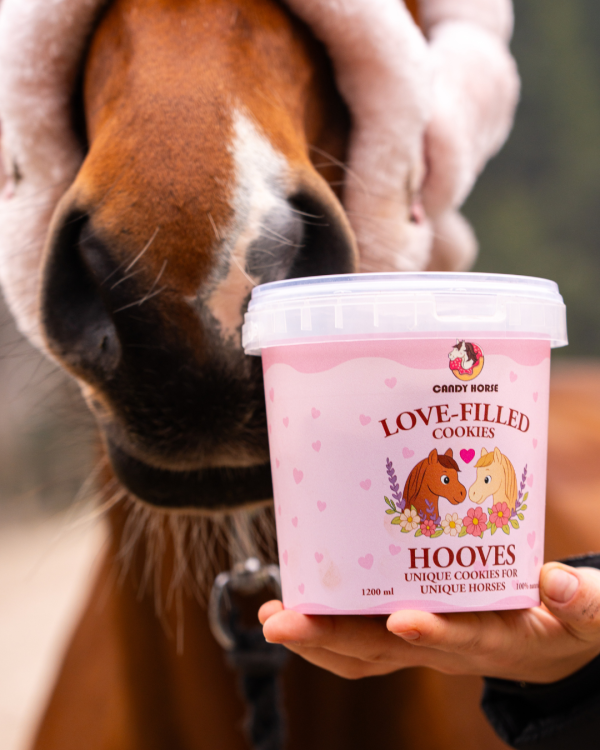 SAN VALENTINO <3 - Biscotti pieni d'amore I Grande scatola di biscotti per cavalli