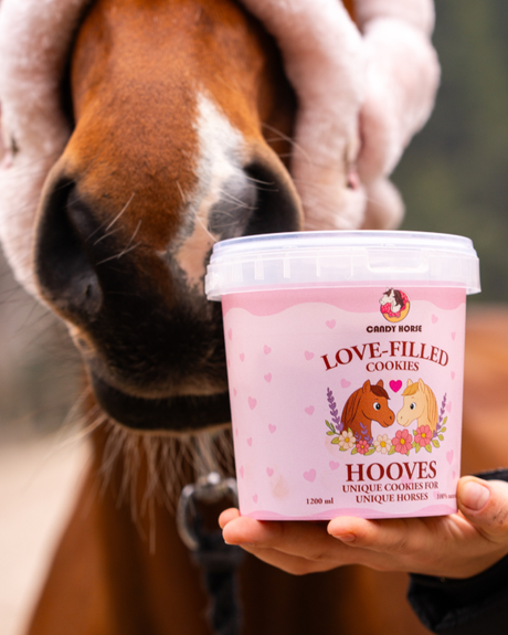 SAN VALENTINO <3 - Biscotti pieni d'amore I Grande scatola di biscotti per cavalli