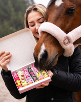 SAN VALENTINO <3 - Bastoncini di ghiaccio in edizione limitata I 6 bastoncini di gelato a forma di cavallo decorati con glassa reale