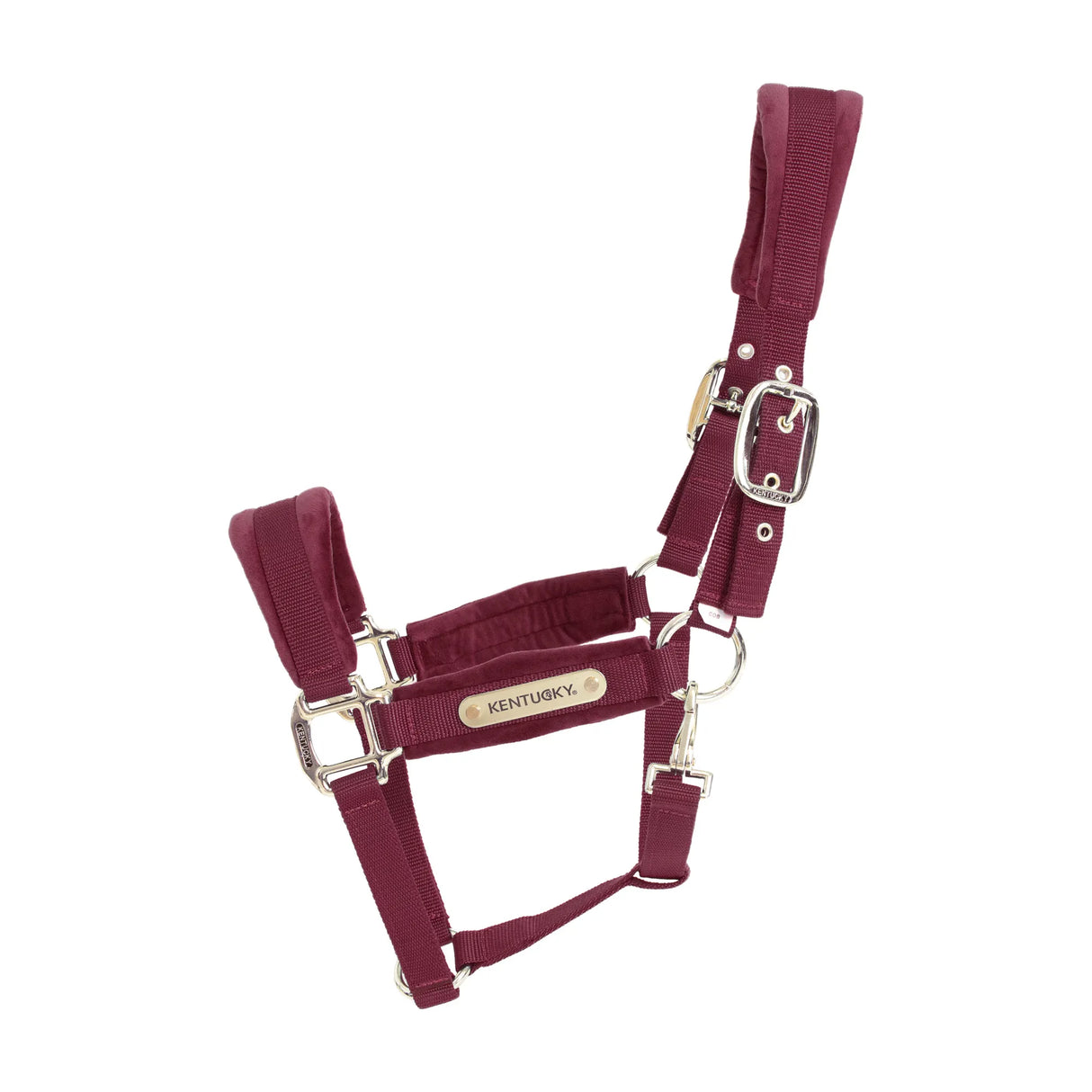 Cavezza in velluto Kentucky bordeaux full
