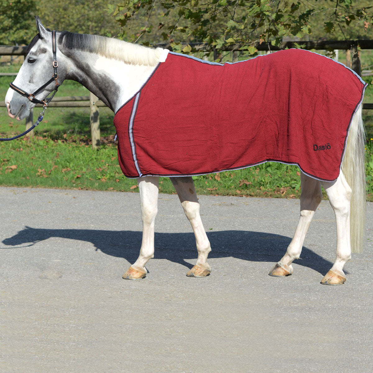 Coperta in spugna Daslo blu