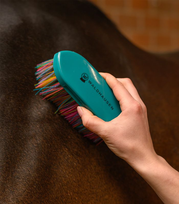 Brusca setole lunghe Rainbow Waldhausen