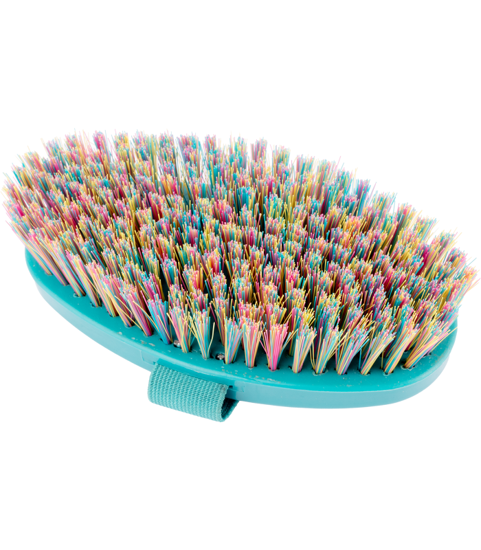Brusca setole corte Rainbow Waldhausen