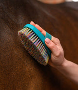 Brusca setole corte Rainbow Waldhausen