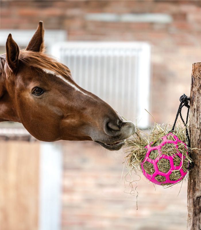 Gioco per cavallo palla di fieno Waldhausen