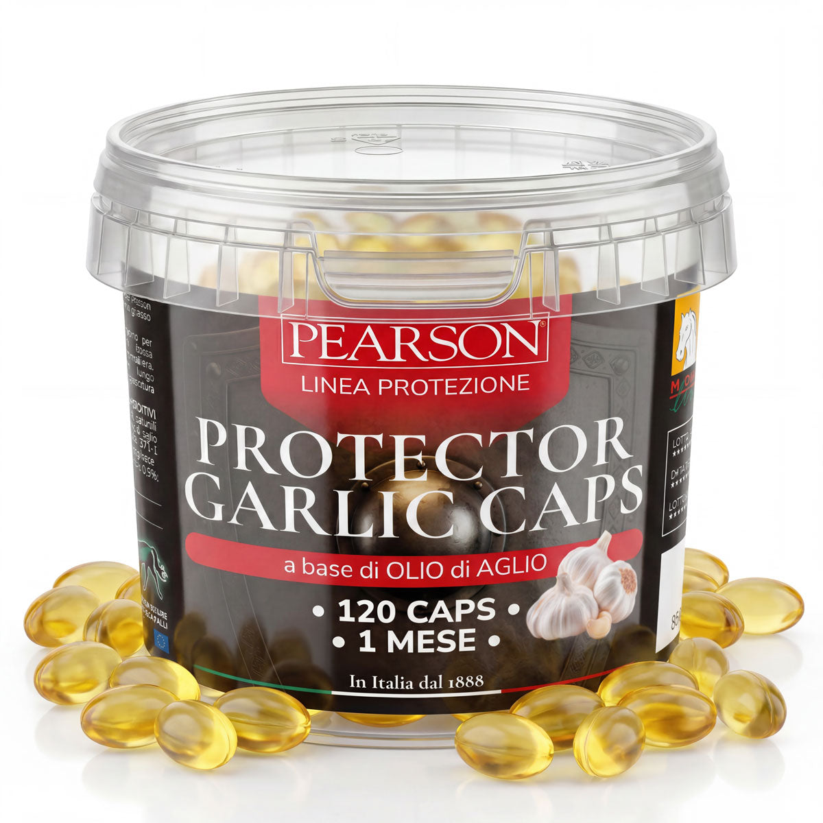 Protector Garlic caps Pearson 120 capsule