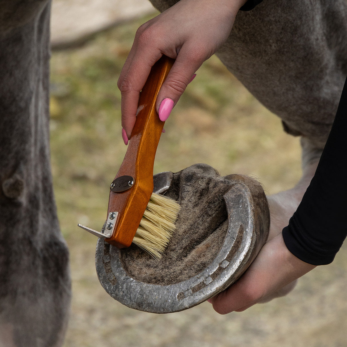 Grooming set Royal QHP