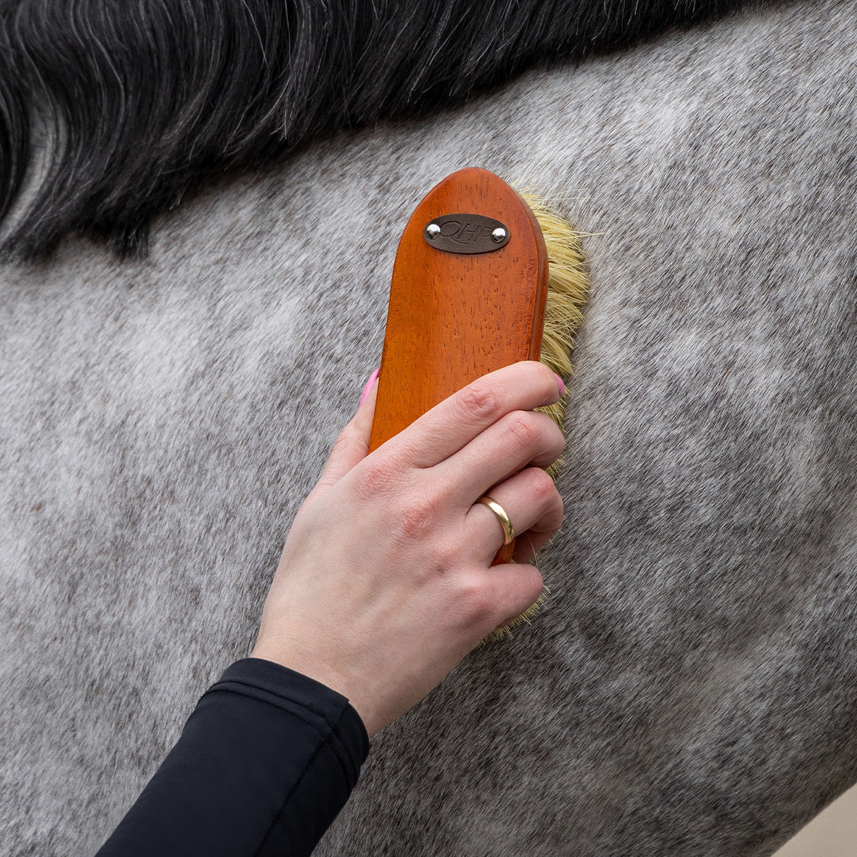 Grooming set Royal QHP