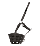 Museruola Waldhausen
