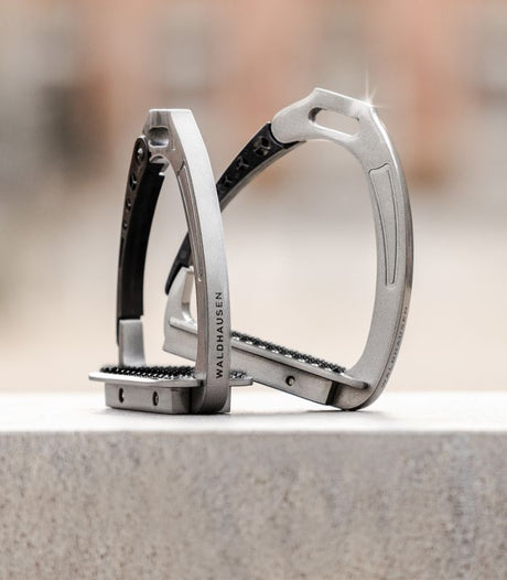 Staffe di sicurezza Pro Waldhausen