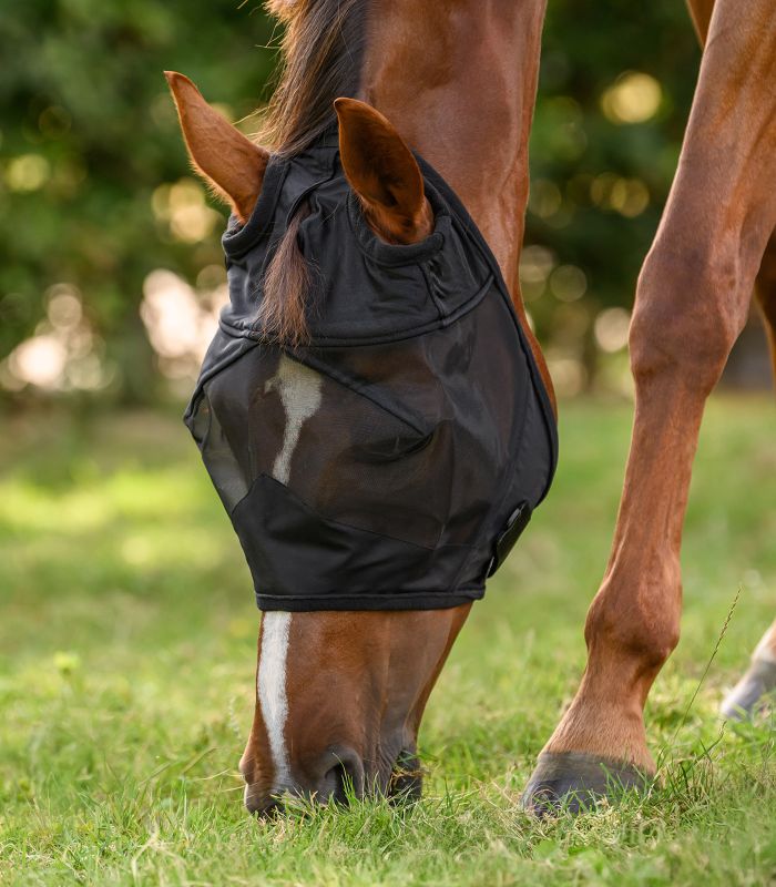 Maschera antimosche PREMIUM senza protezione per le orecchie Waldhausen