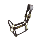 Capezza anatomica in cuoio Kentucky