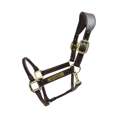 Capezza anatomica in cuoio Kentucky