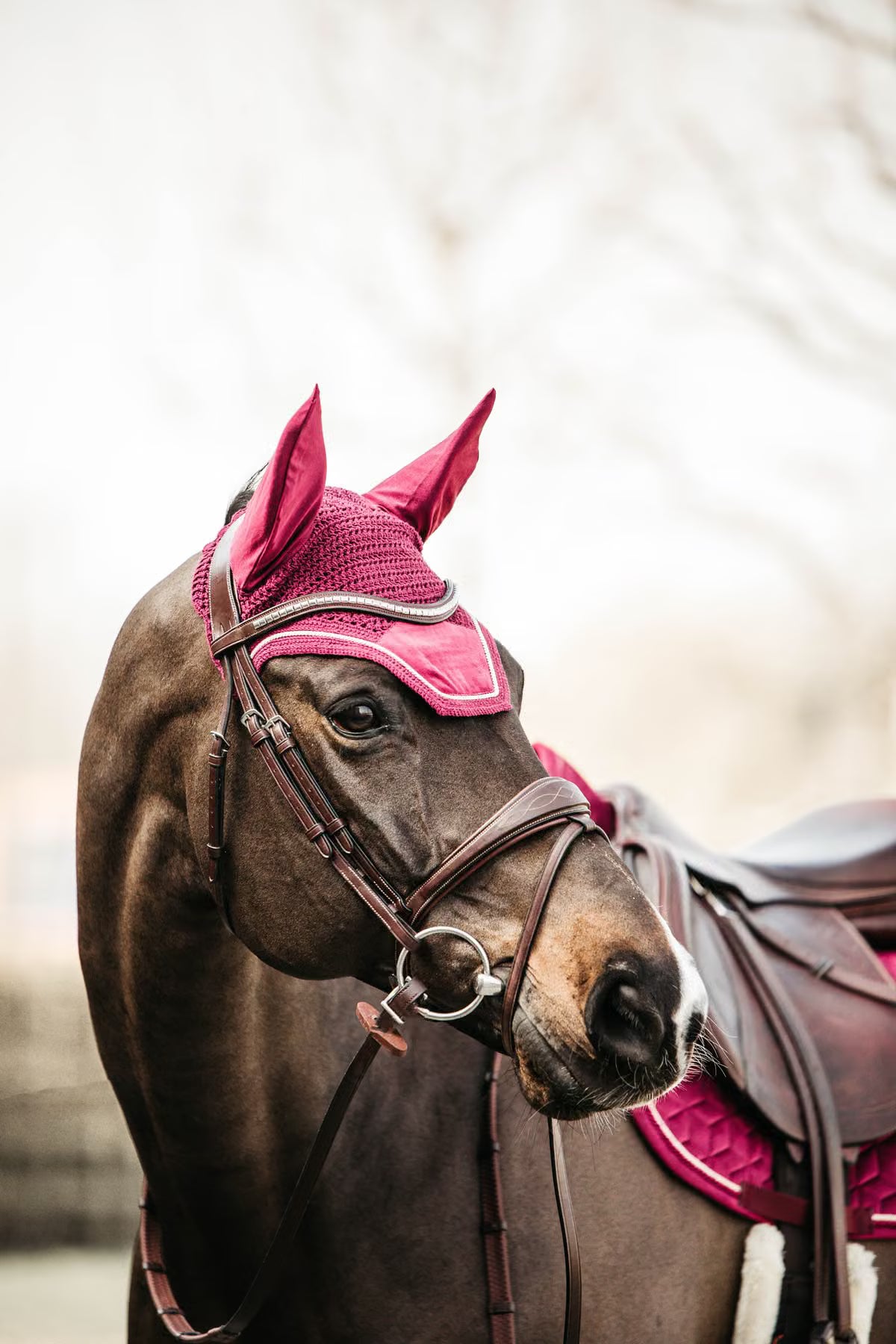 Cuffia Wellington Velvet Kentucky