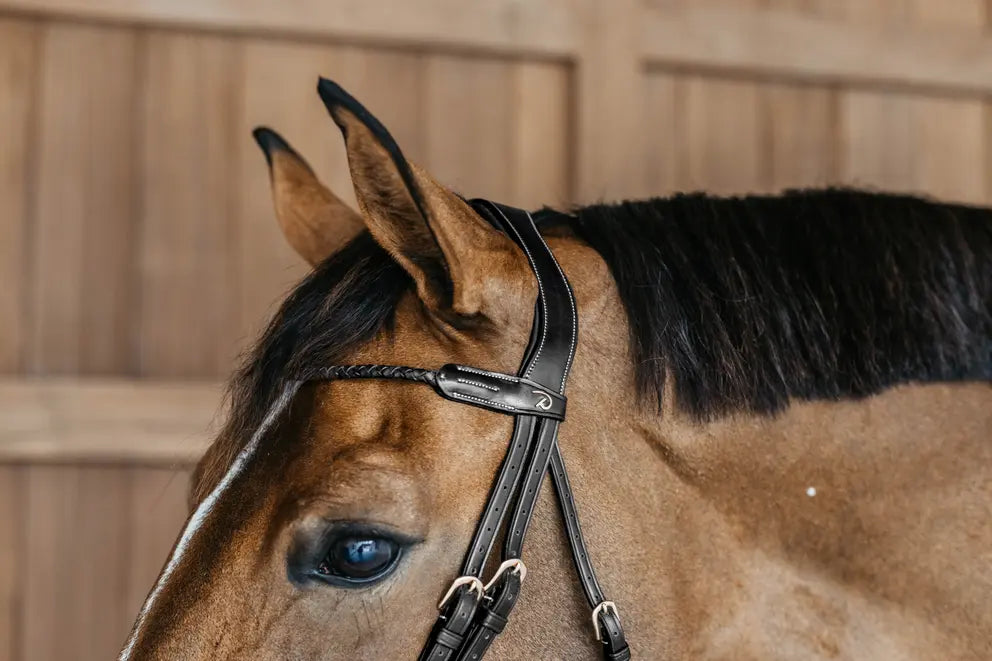 Testiera Dy'On Braided Flash Noseband nera