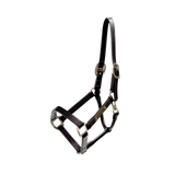 Capezza in cuoio Wellington Kentucky