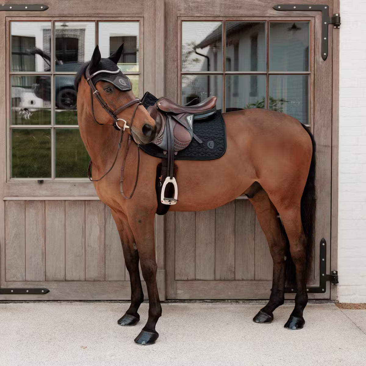 Sottosella Jumping Sparkling Kentucky