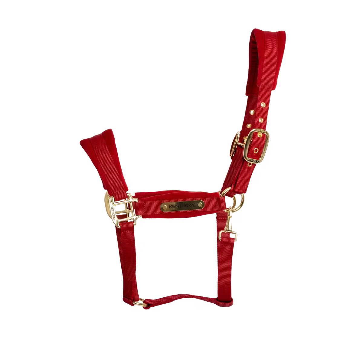 Cavezza in velluto Kentucky rosso full