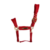 Cavezza in velluto Kentucky rosso full