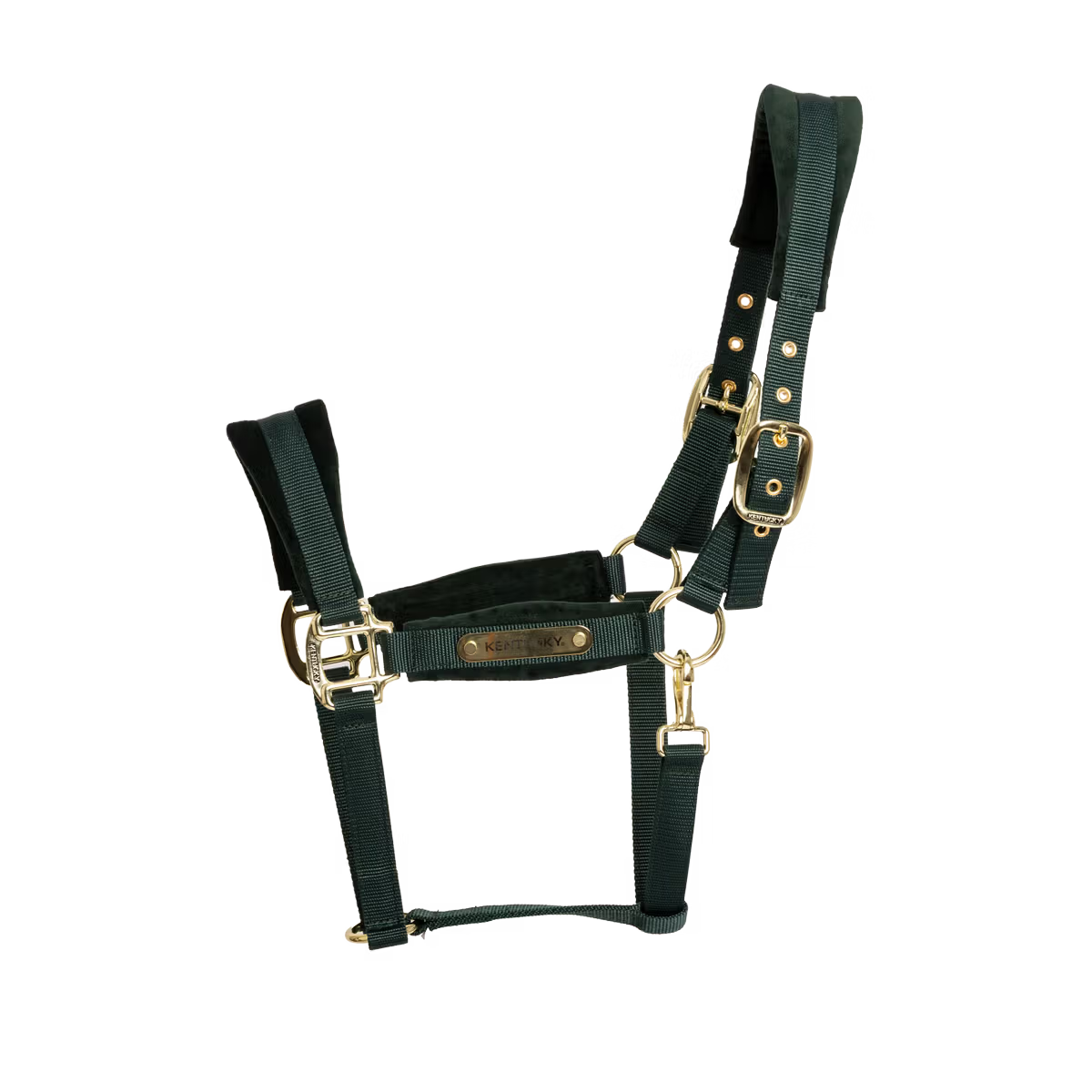 Cavezza in velluto Kentucky verdone full